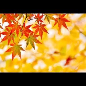 Meet your Posher, Chloe